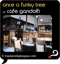 Top Secret Quote Bubble in black, with photo of  Cafe Gandolfi, interior shot showing unusual furniture shapes.
Caption: once a funky tree